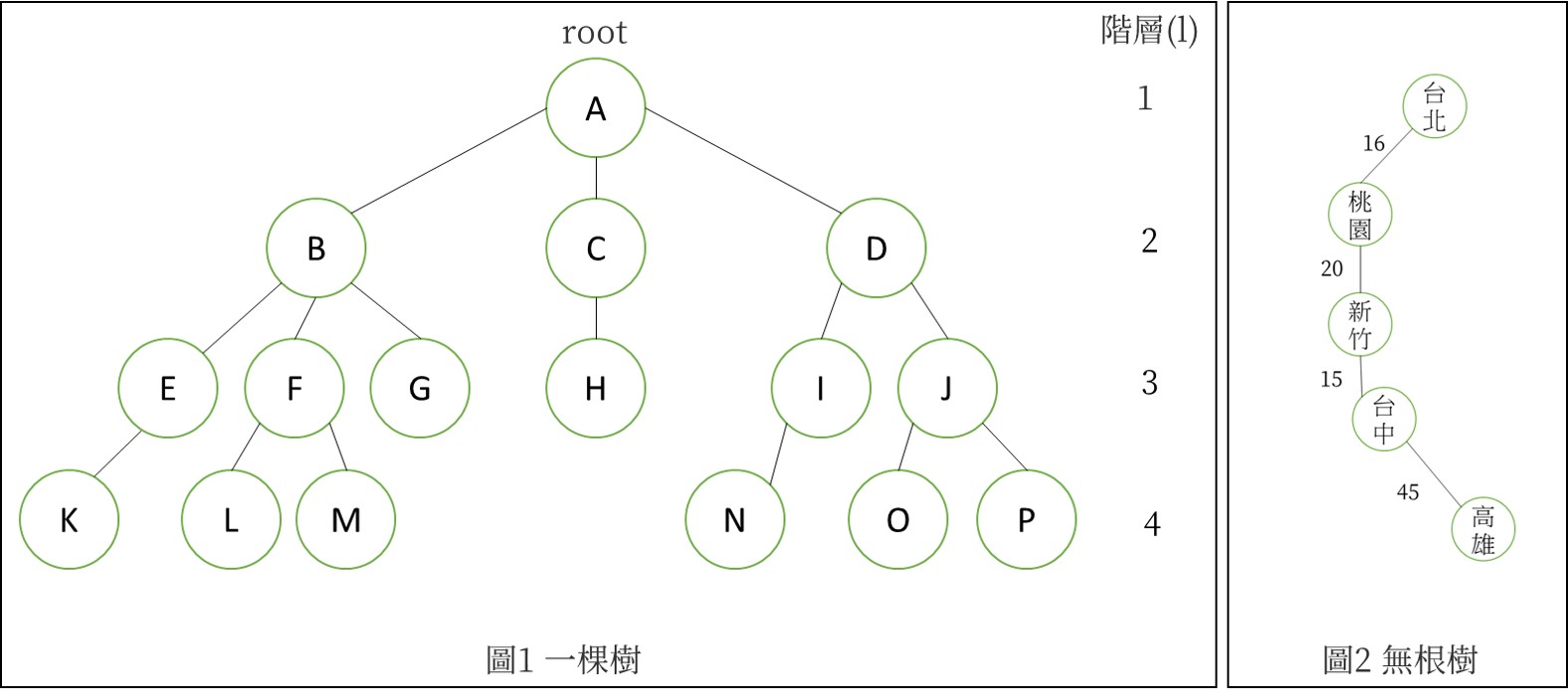 圖12 一棵樹